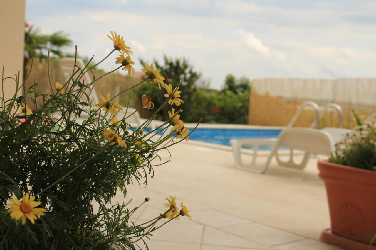 Apartman Robi Nova Vas  외부 사진